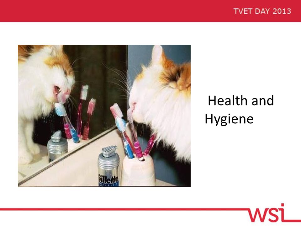 Health and Hygiene
