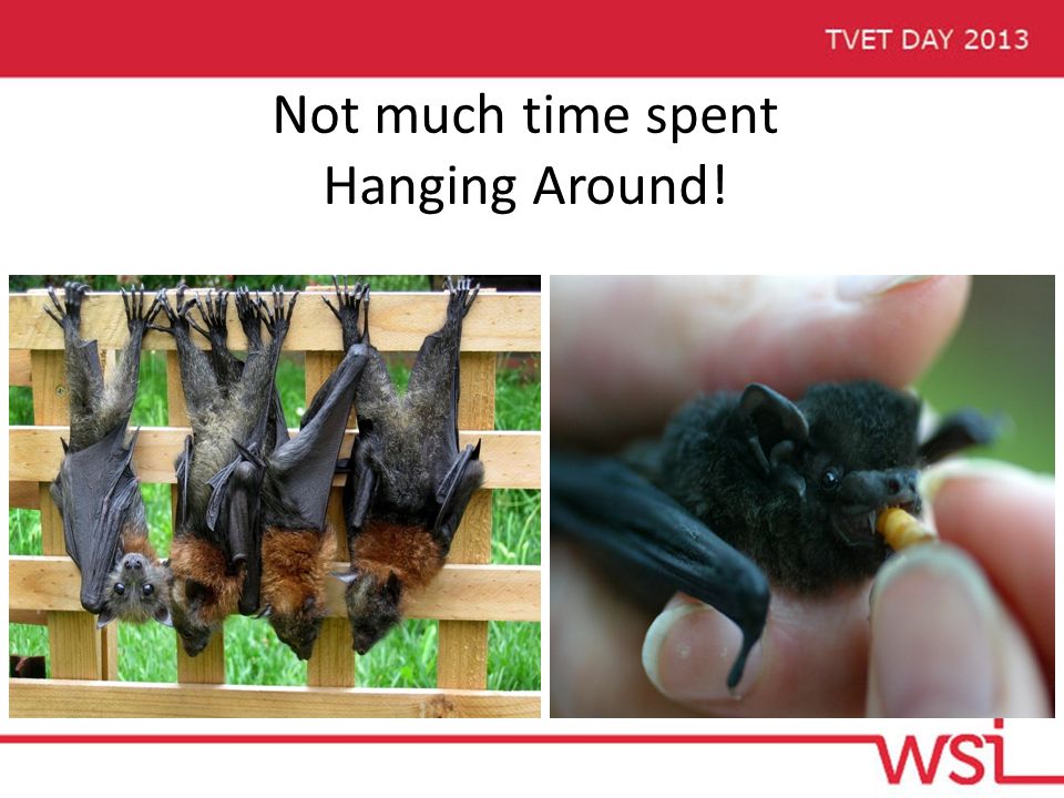 Not much time spent Hanging Around!