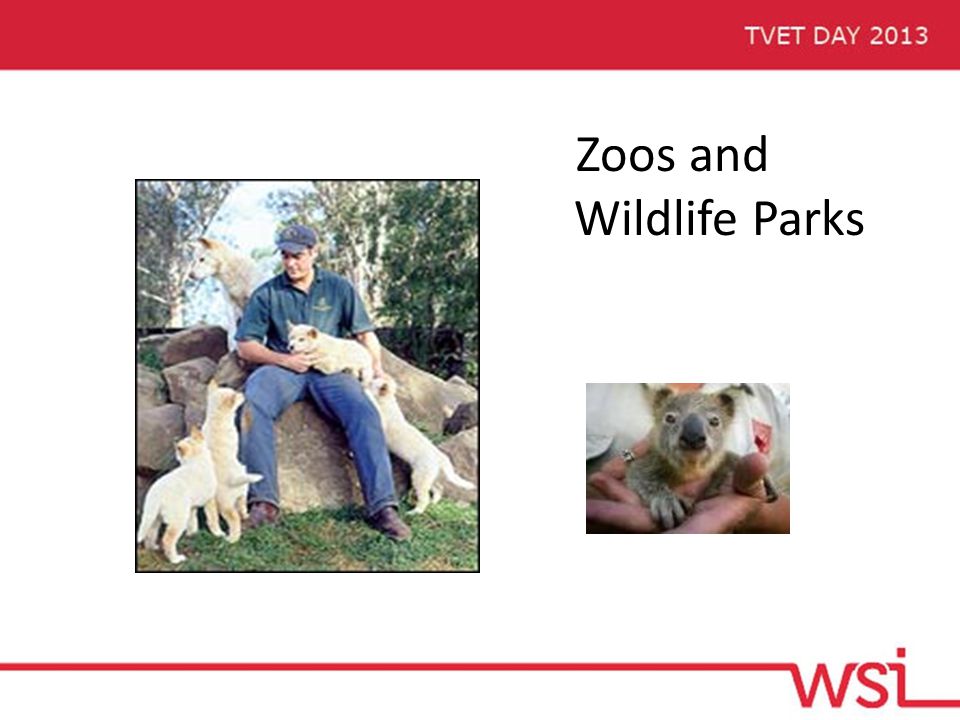 Zoos and Wildlife Parks