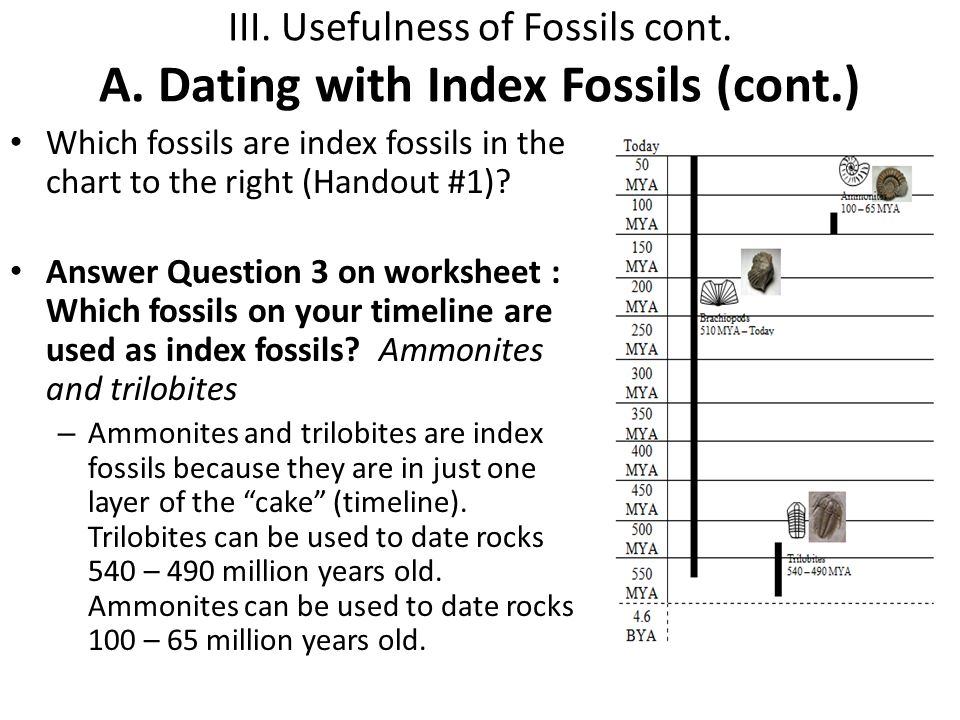 Types Of Fossils Worksheet Delibertad Of Fossils Worksheet Delibertad