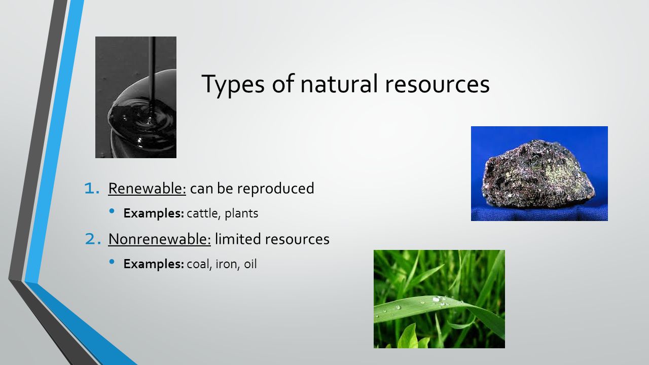 Renewable resources essay