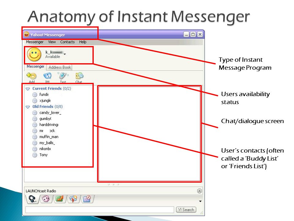 Type of Instant Message Program Users availability status Users contacts (often called a Buddy List or Friends List) Chat/dialogue screen