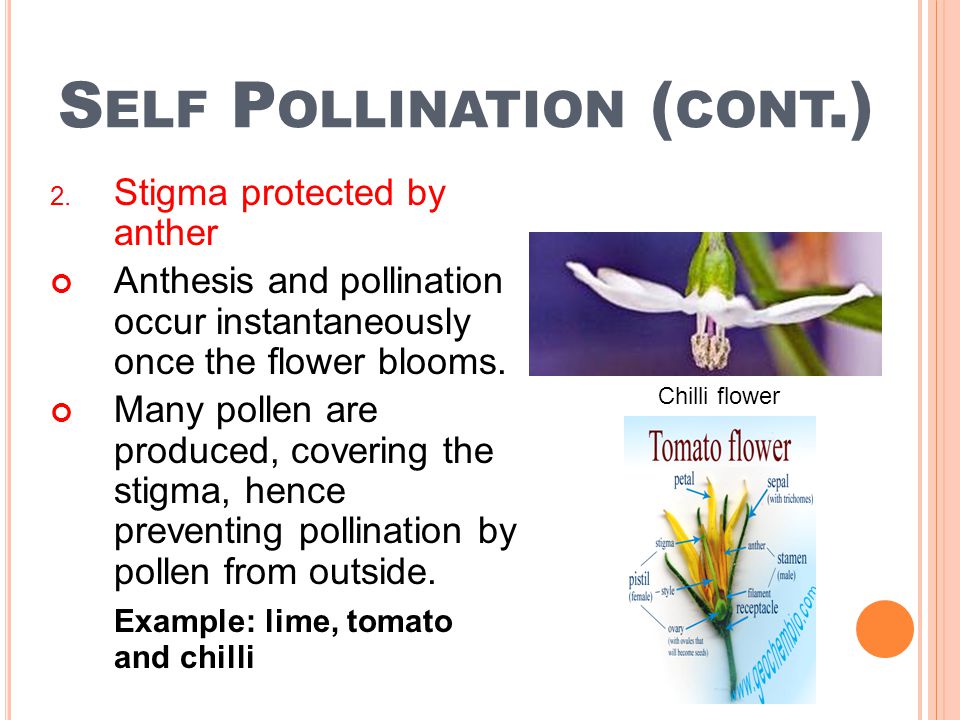 research paper for deforestation research paper for deforestation