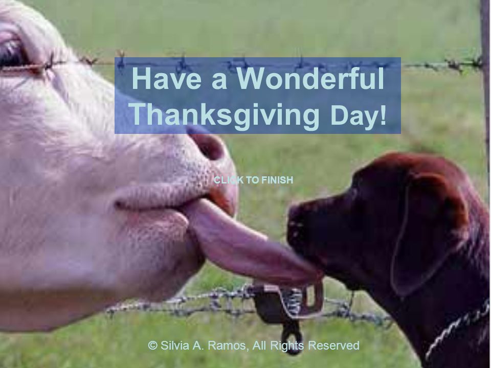 Have a Wonderful Thanksgiving Day! © Silvia A. Ramos, All Rights Reserved CLICK TO FINISH