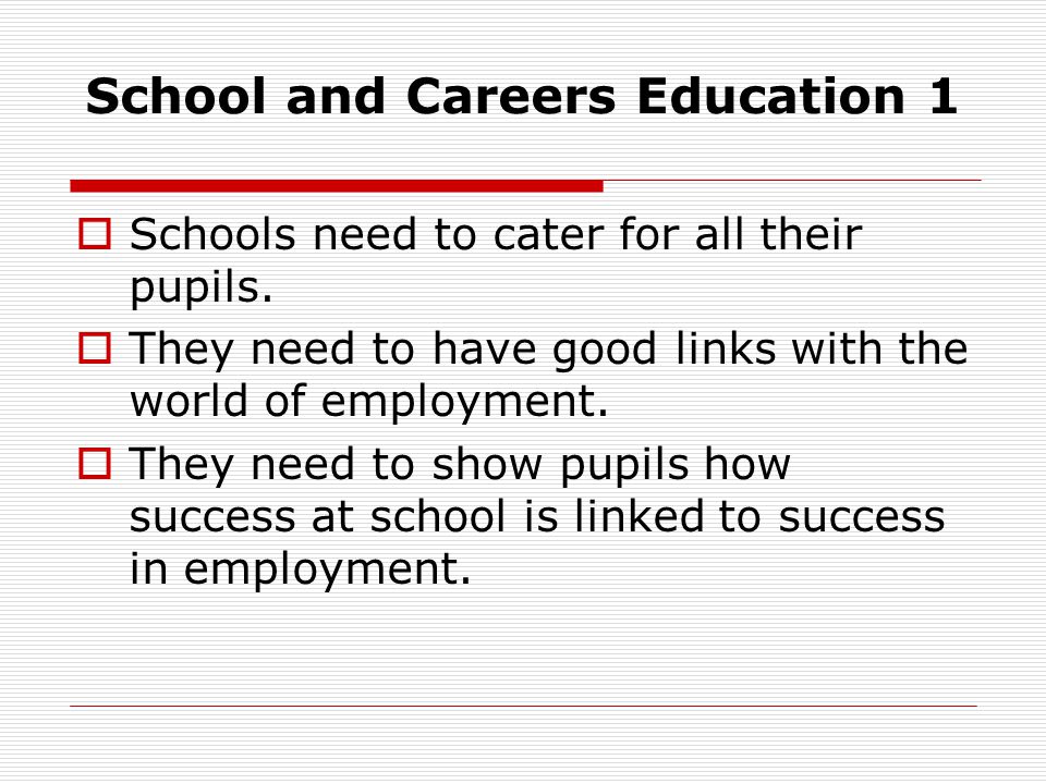 School and Careers Education 1 Schools need to cater for all their pupils.