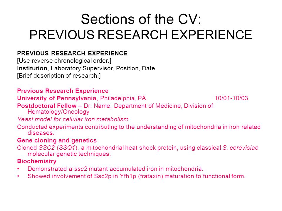 Curriculum Vitae Dissertation