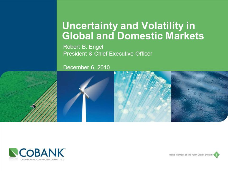 Uncertainty and Volatility in Global and Domestic Markets Robert B.
