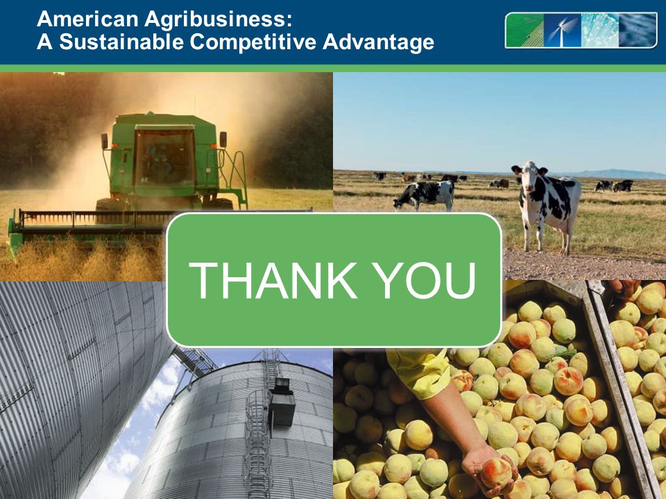 American Agribusiness: A Sustainable Competitive Advantage 18 THANK YOU
