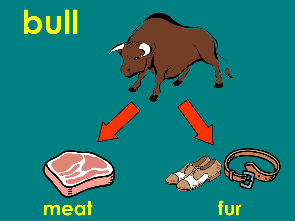 bull meatfur