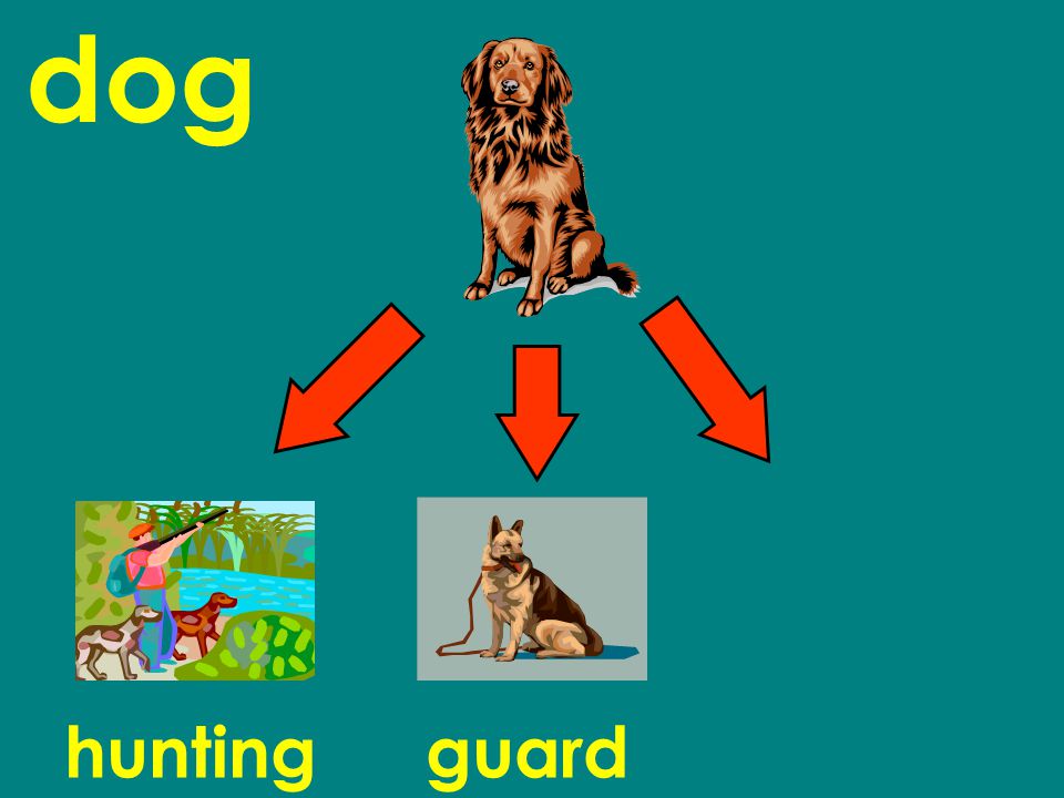 dog huntingguard