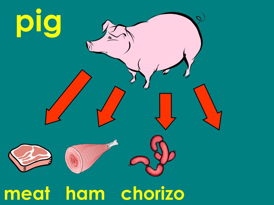 pig meat ham chorizo sausage