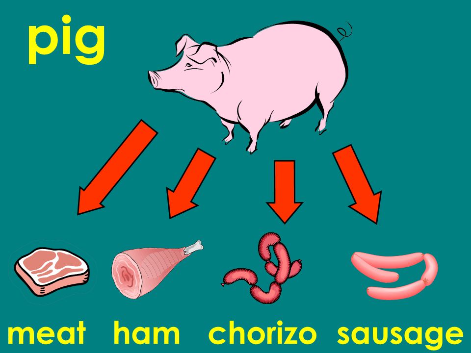 pig meat ham chorizo sausage