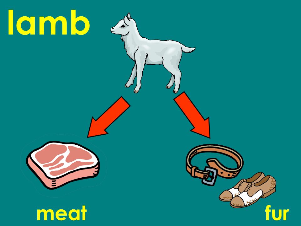 lamb meatfur