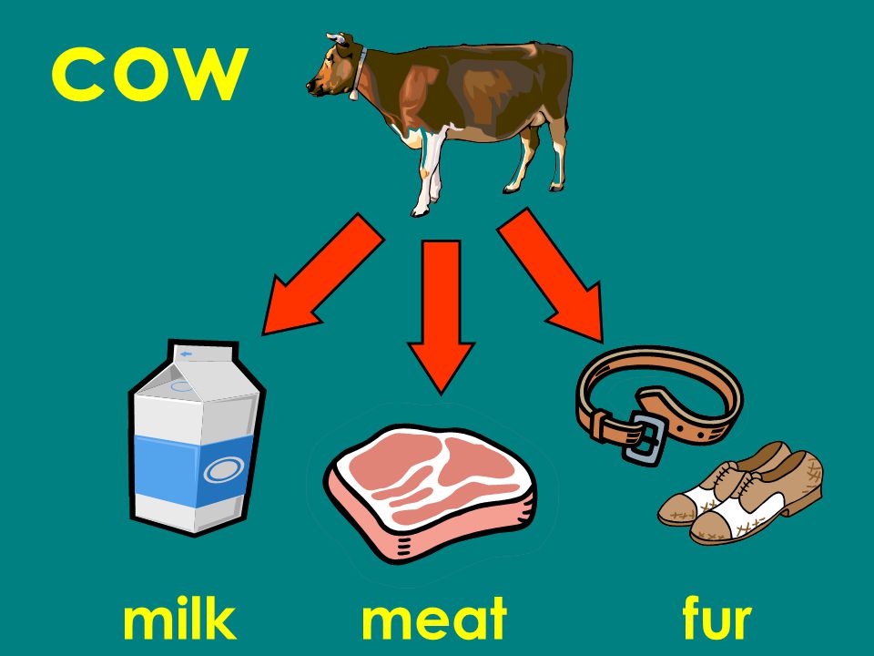 cow milkmeatfur