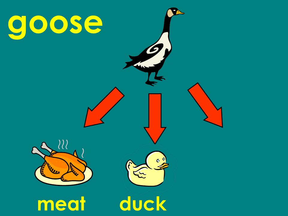goose meatduck