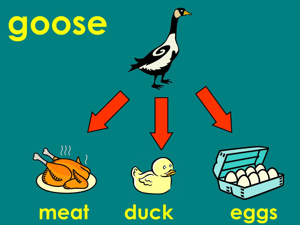 goose meatduckeggs