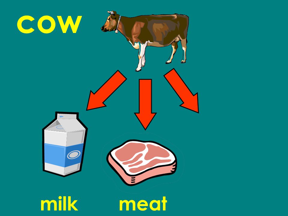 cow milkmeat