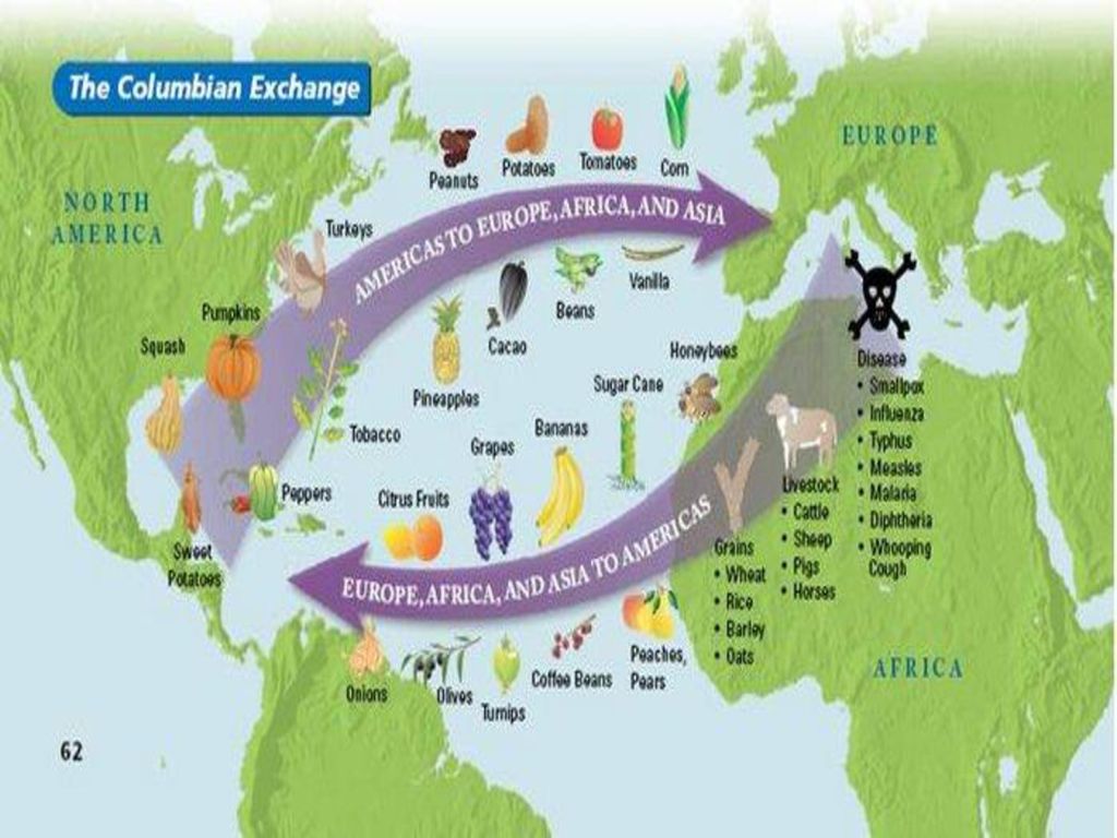 the columbian exchange alludes to the Columbian exchange dbq how did culture in the americas change as a result of exploration what were the consequences of the columbian exchange. the columbian exchange alludes to the Columbian exchange dbq how did culture in the americas change as a result of exploration what were the consequences of the columbian exchange.