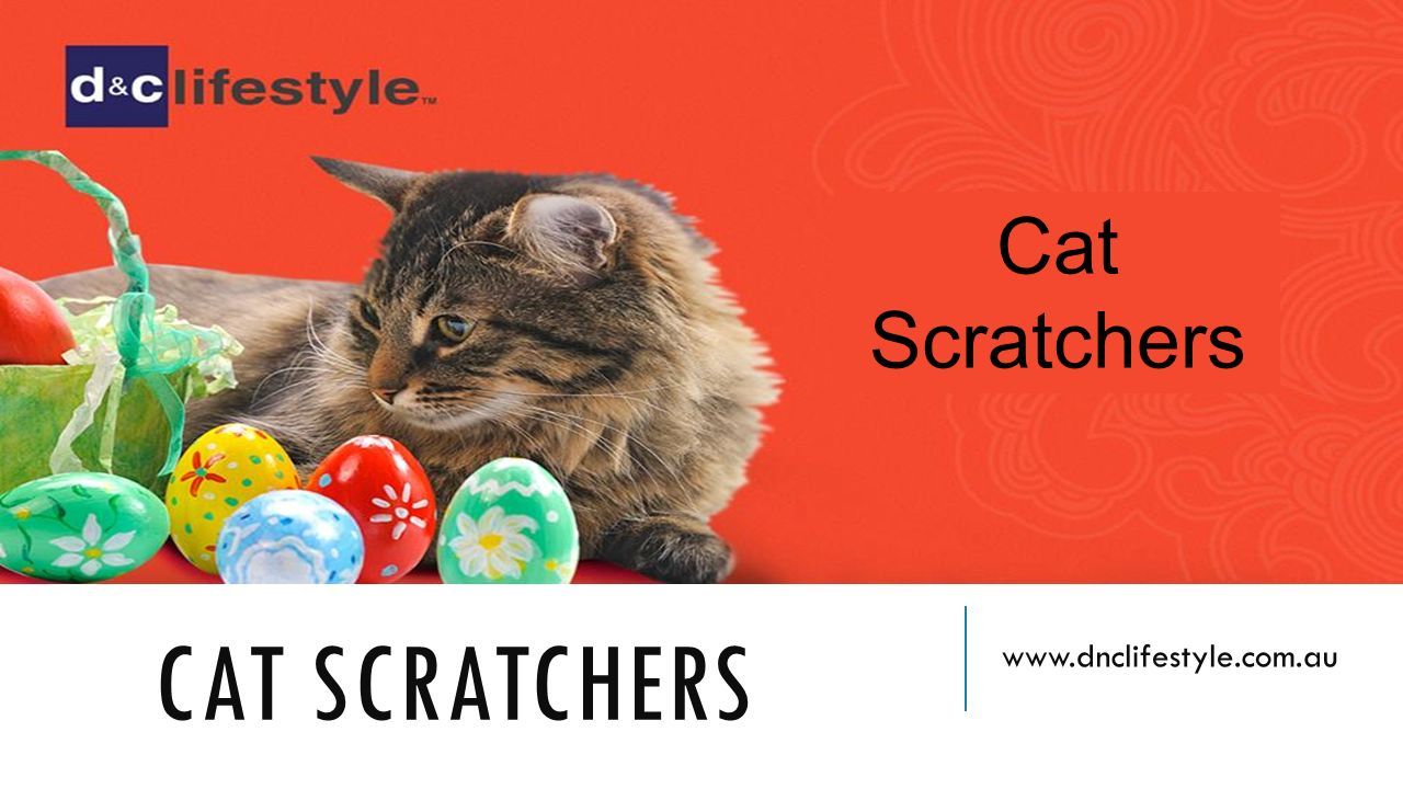CAT SCRATCHERS   Cat Scratchers
