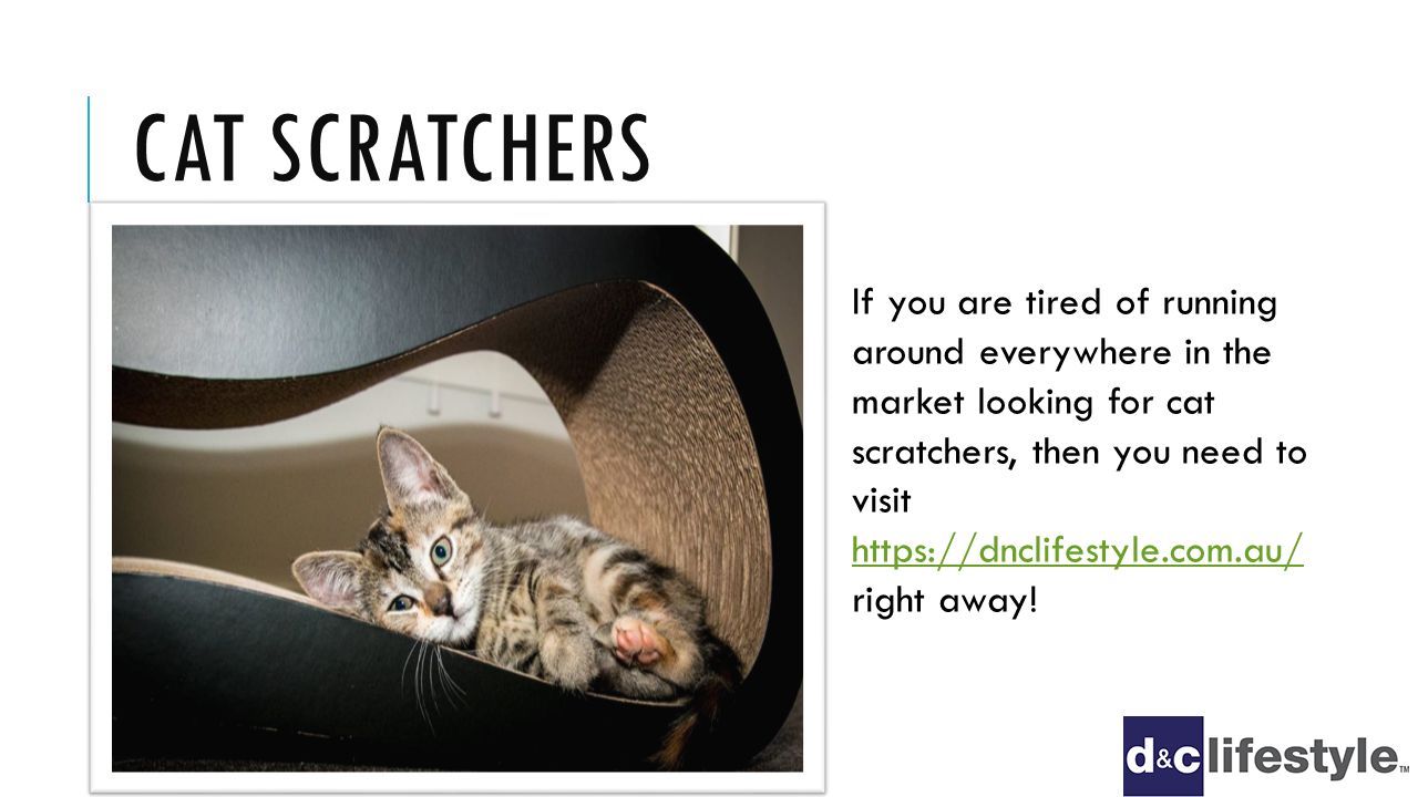CAT SCRATCHERS If you are tired of running around everywhere in the market looking for cat scratchers, then you need to visit   right away.
