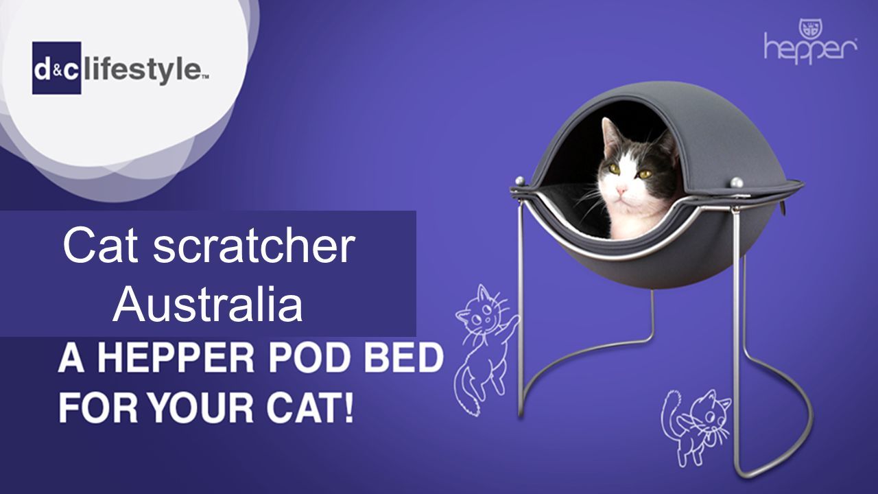 Cat scratcher Australia