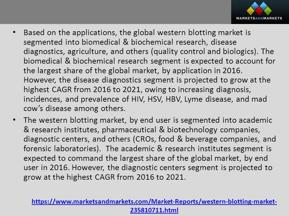 html Based on the applications, the global western blotting market is segmented into biomedical & biochemical research, disease diagnostics, agriculture, and others (quality control and biologics).