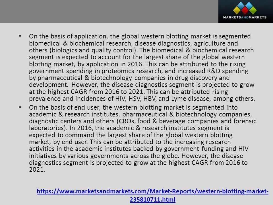 html On the basis of application, the global western blotting market is segmented biomedical & biochemical research, disease diagnostics, agriculture and others (biologics and quality control).