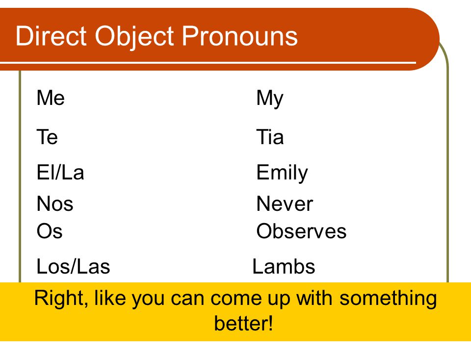 Direct Object Pronouns MeMy TeTia El/LaEmily NosNever OsObserves Los/LasLambs Right, like you can come up with something better!