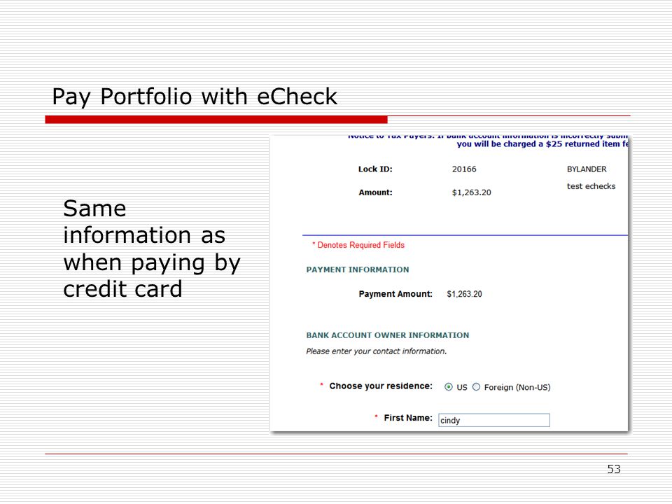 53 Pay Portfolio with eCheck Same information as when paying by credit card
