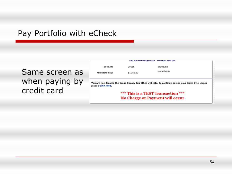 54 Pay Portfolio with eCheck Same screen as when paying by credit card