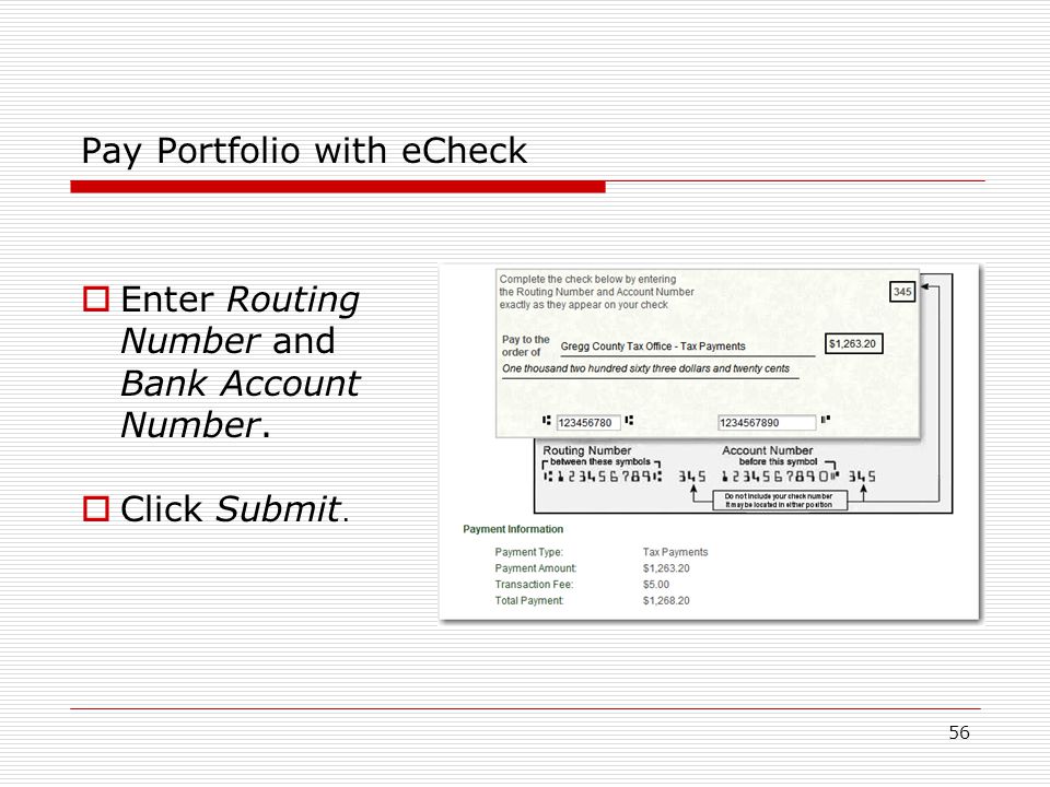 56 Pay Portfolio with eCheck  Enter Routing Number and Bank Account Number.  Click Submit.