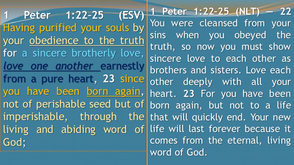 1 Peter 1:22–25 (ESV) Having purified your souls by your obedience to the truth for a sincere brotherly love, love one another earnestly from a pure heart, 23 since you have been born again, not of perishable seed but of imperishable, through the living and abiding word of God; 1 Peter 1:22–25 (NLT) — 22 You were cleansed from your sins when you obeyed the truth, so now you must show sincere love to each other as brothers and sisters.