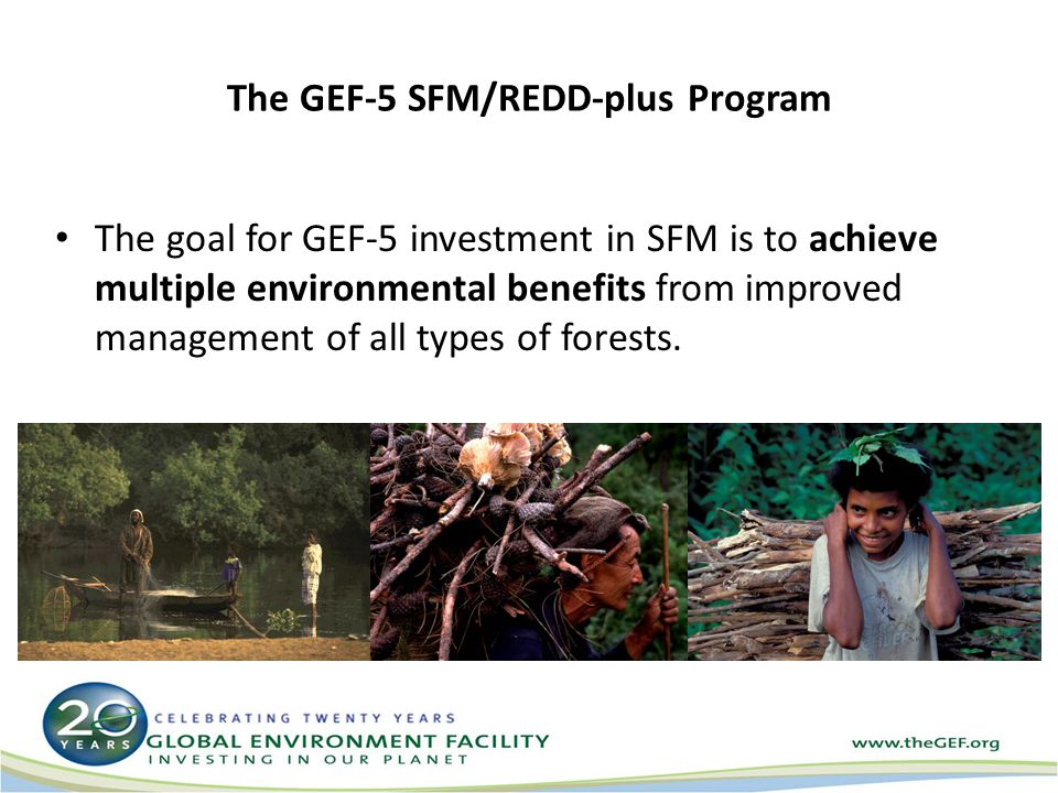 The GEF-5 SFM/REDD-plus Program The goal for GEF-5 investment in SFM is to achieve multiple environmental benefits from improved management of all types of forests.