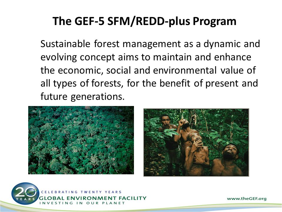 The GEF-5 SFM/REDD-plus Program Sustainable forest management as a dynamic and evolving concept aims to maintain and enhance the economic, social and environmental value of all types of forests, for the benefit of present and future generations.