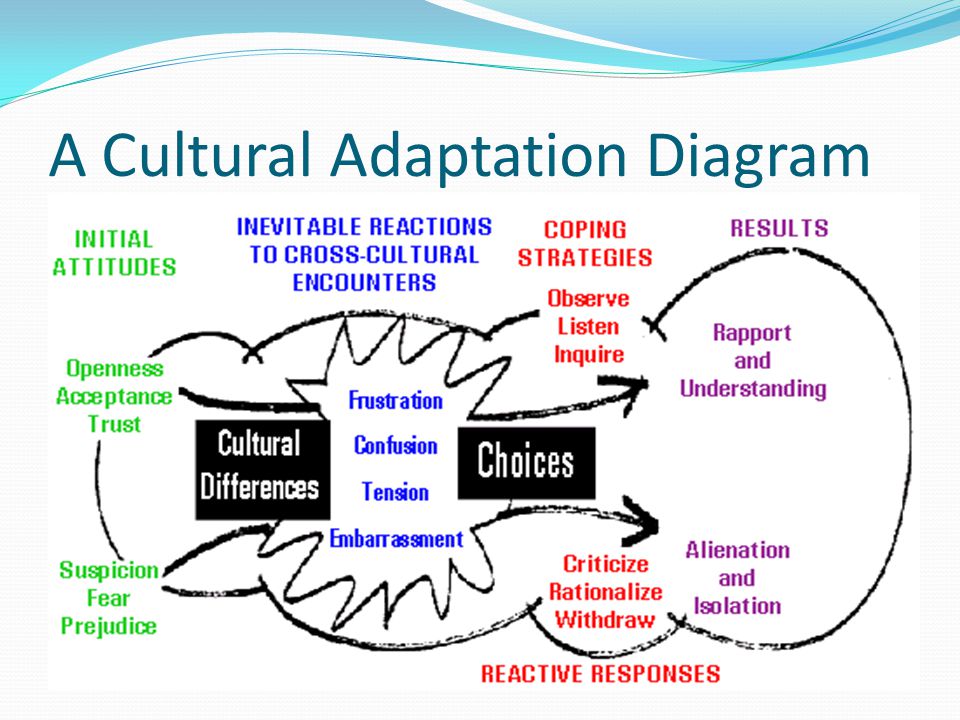 Successful Cultural Adaptation Emotional Support Everyone needs others – friends, family – to lean on during times of stress.