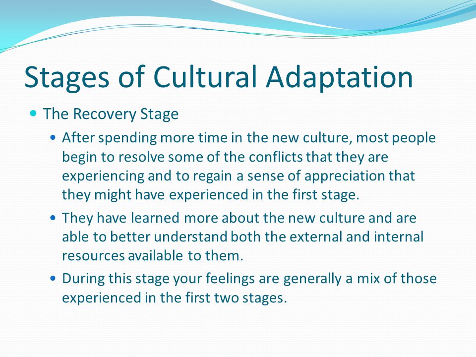 Stages of Cultural Adaptation The Culture Shock Stage – Ouch, this hurts.