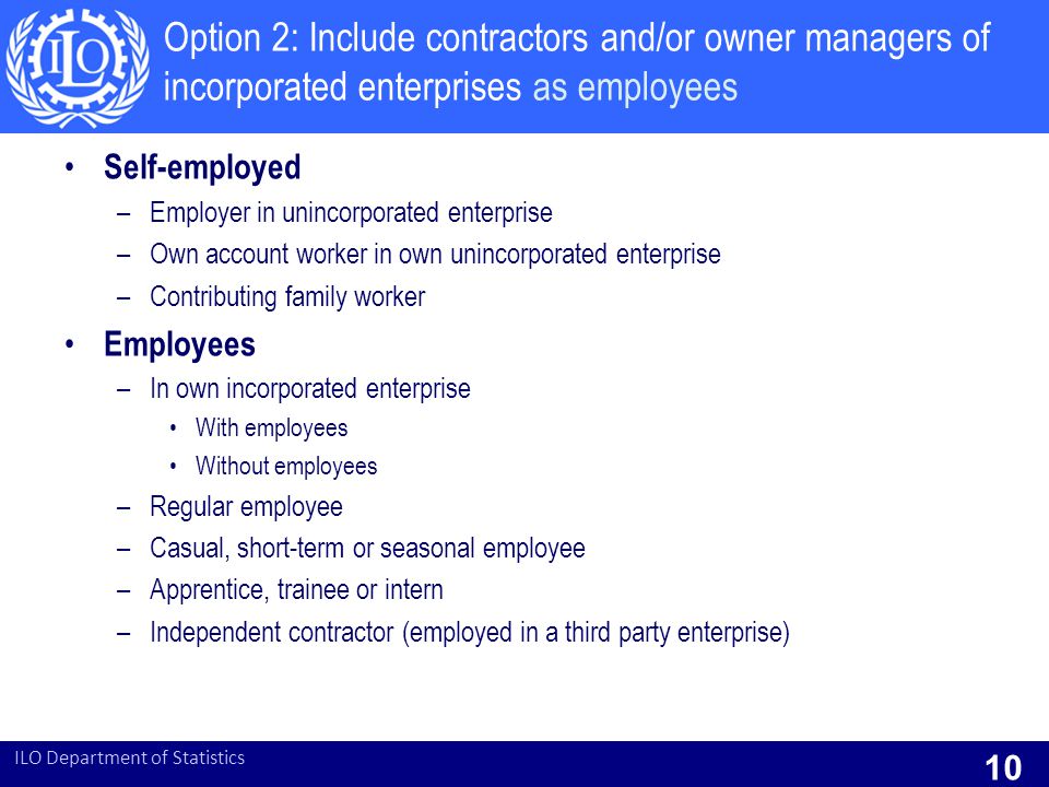 Option 2: Include contractors and/or owner managers of incorporated enterprises as employees Self-employed –Employer in unincorporated enterprise –Own account worker in own unincorporated enterprise –Contributing family worker Employees –In own incorporated enterprise With employees Without employees –Regular employee –Casual, short-term or seasonal employee –Apprentice, trainee or intern –Independent contractor (employed in a third party enterprise) ILO Department of Statistics 10