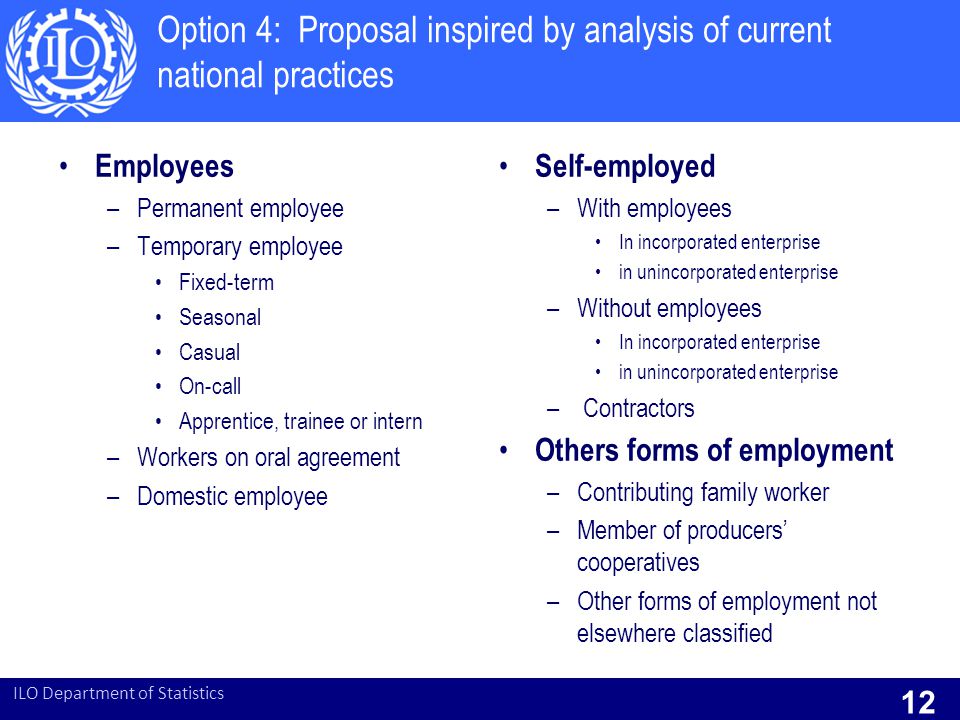 Option 4: Proposal inspired by analysis of current national practices Employees –Permanent employee –Temporary employee Fixed-term Seasonal Casual On-call Apprentice, trainee or intern –Workers on oral agreement –Domestic employee Self-employed –With employees In incorporated enterprise in unincorporated enterprise –Without employees In incorporated enterprise in unincorporated enterprise – Contractors Others forms of employment –Contributing family worker –Member of producers’ cooperatives –Other forms of employment not elsewhere classified ILO Department of Statistics 12