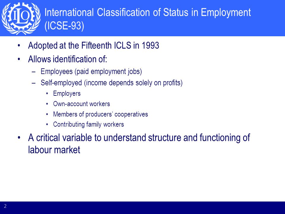 International Classification of Status in Employment (ICSE-93) Adopted at the Fifteenth ICLS in 1993 Allows identification of: –Employees (paid employment jobs) –Self-employed (income depends solely on profits) Employers Own-account workers Members of producers’ cooperatives Contributing family workers A critical variable to understand structure and functioning of labour market 2