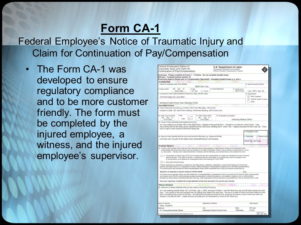 explanation of form ca 1 you must click your mouse press enter or ca 1 form