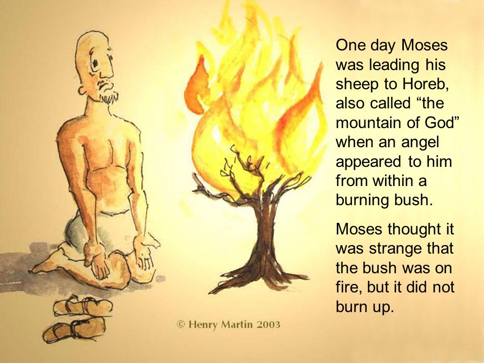 One day Moses was leading his sheep to Horeb, also called the mountain of God when an angel appeared to him from within a burning bush.