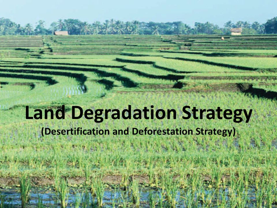 Land Degradation Strategy (Desertification and Deforestation Strategy)