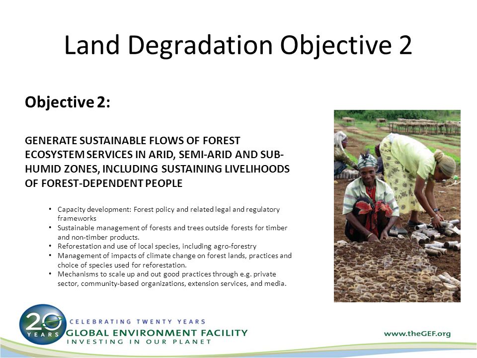 Land Degradation Objective 2 Objective 2: GENERATE SUSTAINABLE FLOWS OF FOREST ECOSYSTEM SERVICES IN ARID, SEMI-ARID AND SUB- HUMID ZONES, INCLUDING SUSTAINING LIVELIHOODS OF FOREST-DEPENDENT PEOPLE Capacity development: Forest policy and related legal and regulatory frameworks Sustainable management of forests and trees outside forests for timber and non-timber products.