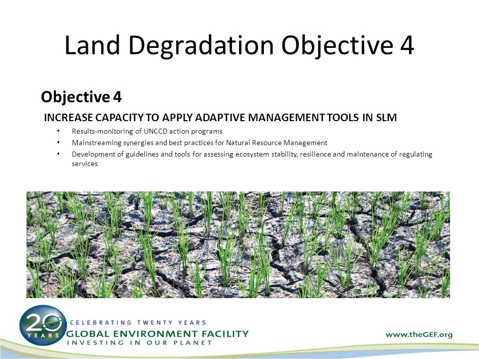 Land Degradation Objective 4 Objective 4 INCREASE CAPACITY TO APPLY ADAPTIVE MANAGEMENT TOOLS IN SLM Results-monitoring of UNCCD action programs Mainstreaming synergies and best practices for Natural Resource Management Development of guidelines and tools for assessing ecosystem stability, resilience and maintenance of regulating services