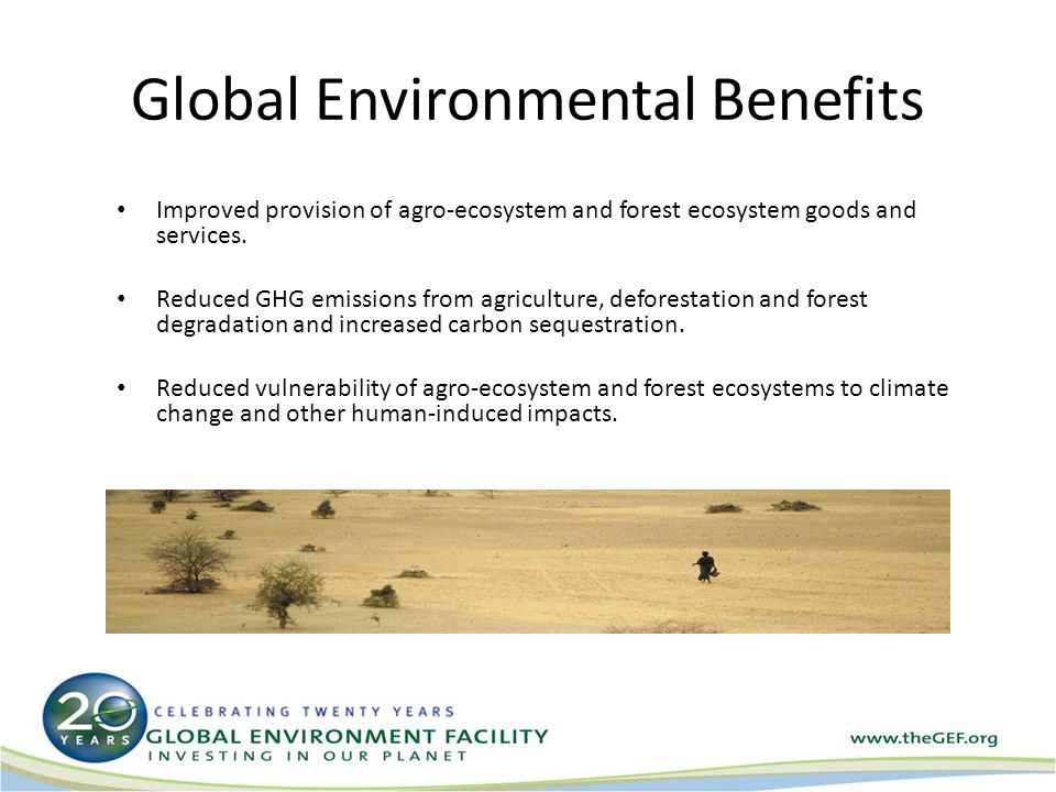 Global Environmental Benefits Improved provision of agro-ecosystem and forest ecosystem goods and services.