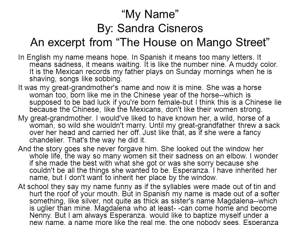 My name sandra cisneros essay