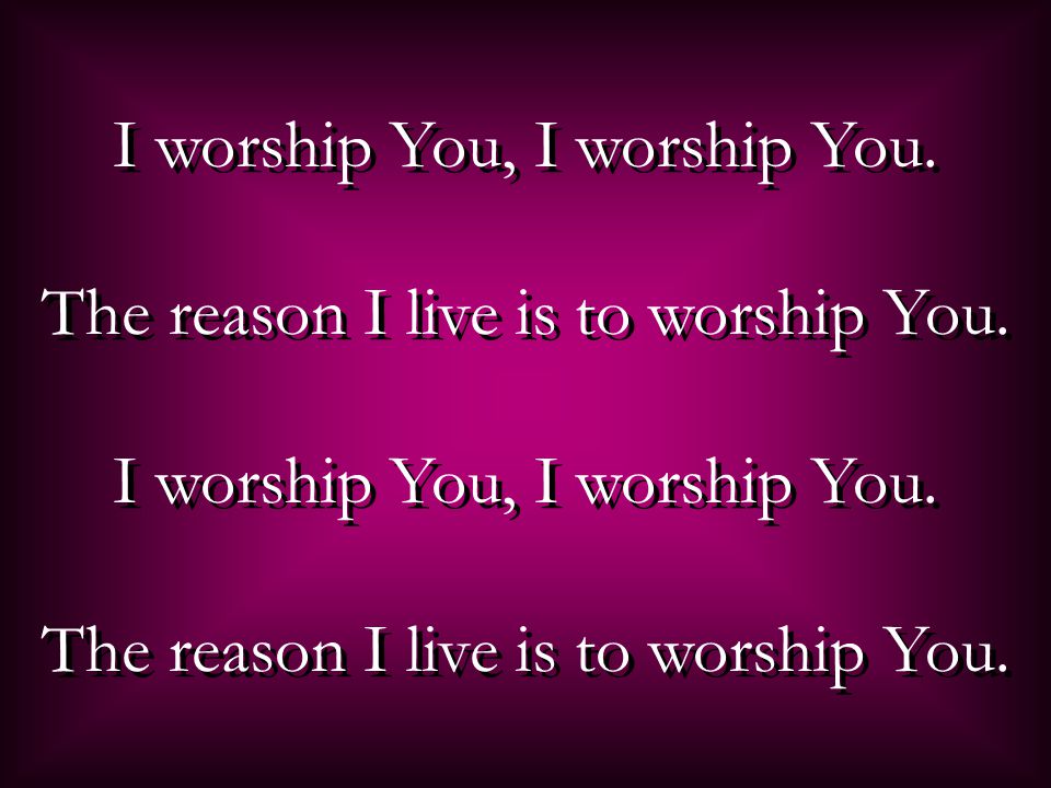 I worship You, I worship You. The reason I live is to worship You.