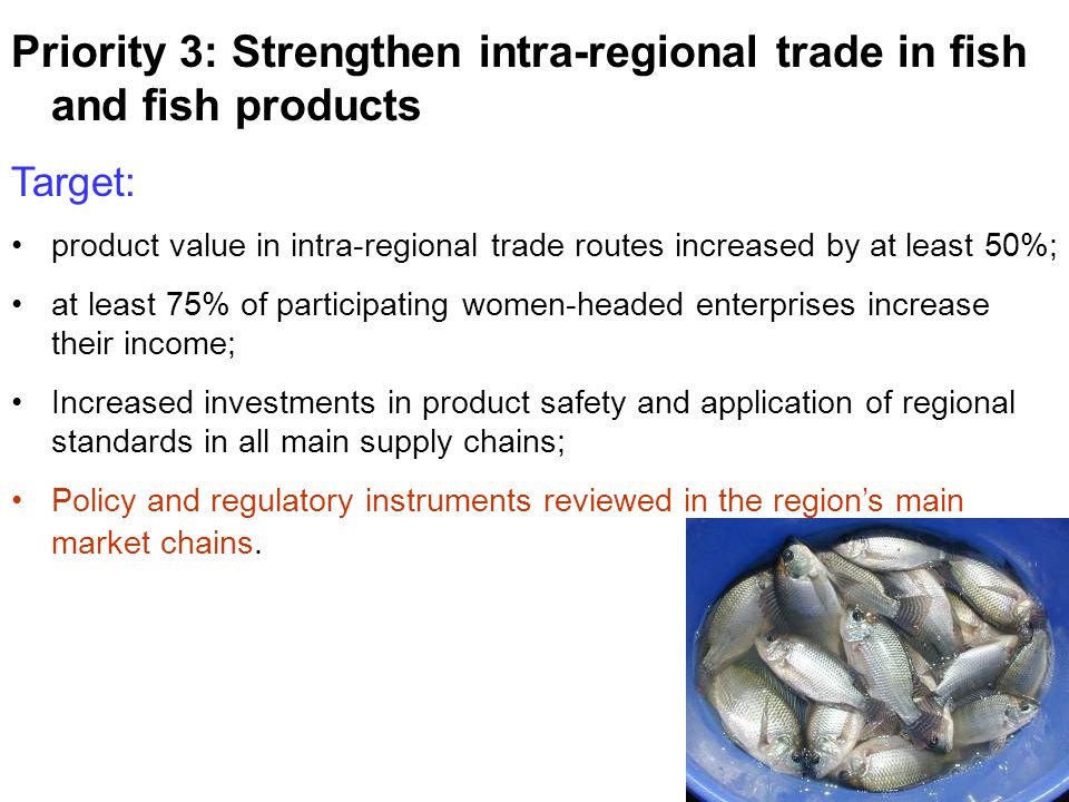 Priority 3: Strengthen intra-regional trade in fish and fish products Target: product value in intra-regional trade routes increased by at least 50%; at least 75% of participating women-headed enterprises increase their income; Increased investments in product safety and application of regional standards in all main supply chains; Policy and regulatory instruments reviewed in the region’s main market chains.