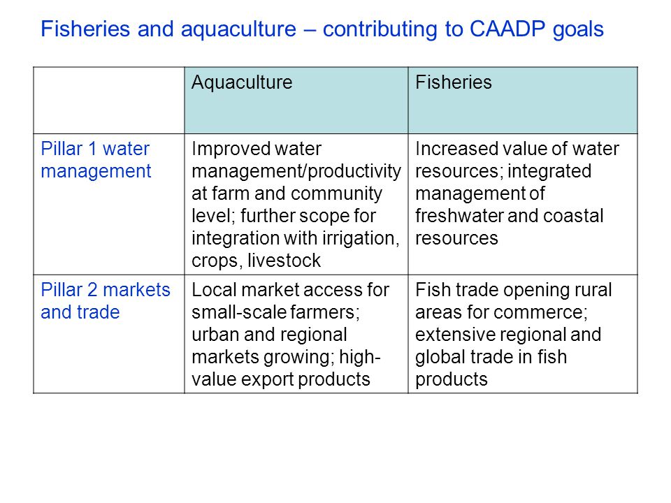 Fisheries and aquaculture – contributing to CAADP goals AquacultureFisheries Pillar 1 water management Improved water management/productivity at farm and community level; further scope for integration with irrigation, crops, livestock Increased value of water resources; integrated management of freshwater and coastal resources Pillar 2 markets and trade Local market access for small-scale farmers; urban and regional markets growing; high- value export products Fish trade opening rural areas for commerce; extensive regional and global trade in fish products