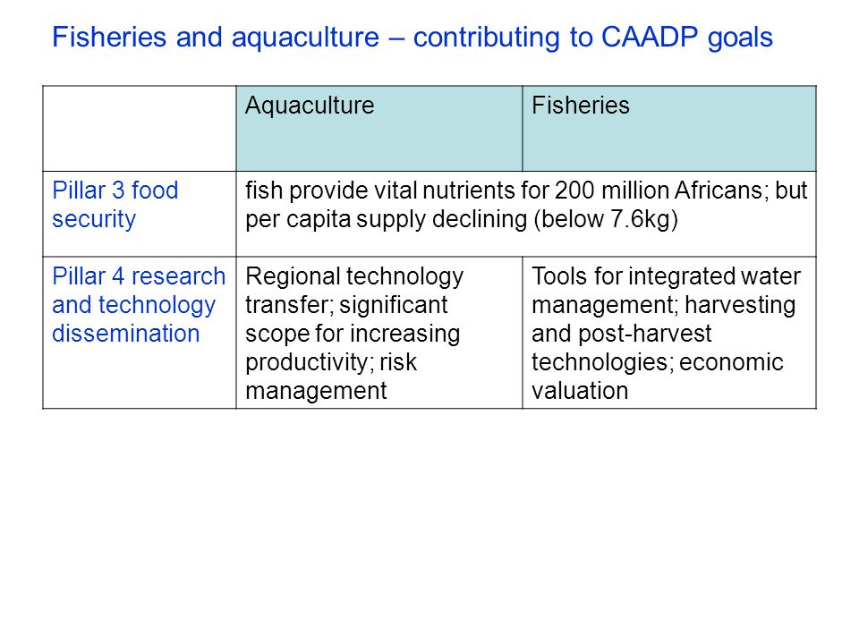 Fisheries and aquaculture – contributing to CAADP goals AquacultureFisheries Pillar 3 food security fish provide vital nutrients for 200 million Africans; but per capita supply declining (below 7.6kg) Pillar 4 research and technology dissemination Regional technology transfer; significant scope for increasing productivity; risk management Tools for integrated water management; harvesting and post-harvest technologies; economic valuation